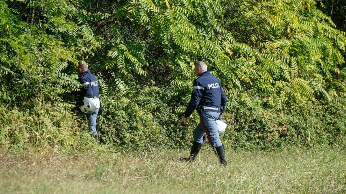 Va al parco con la sua cagnolina che fa una scoperta agghiacciante Va al parco con la sua cagnolina che fa una scoperta agghiacciante