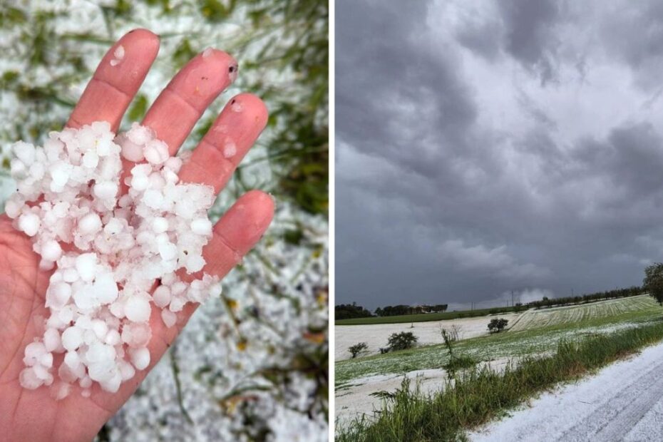 previsioni meteo 16 giugno