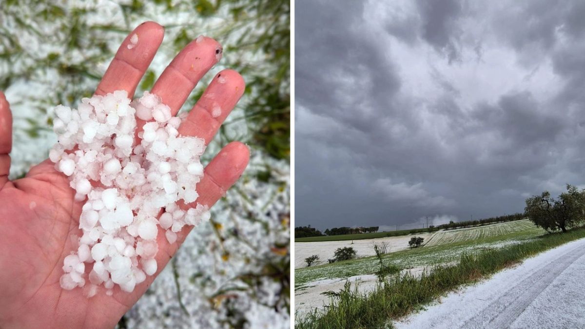 previsioni meteo 16 giugno