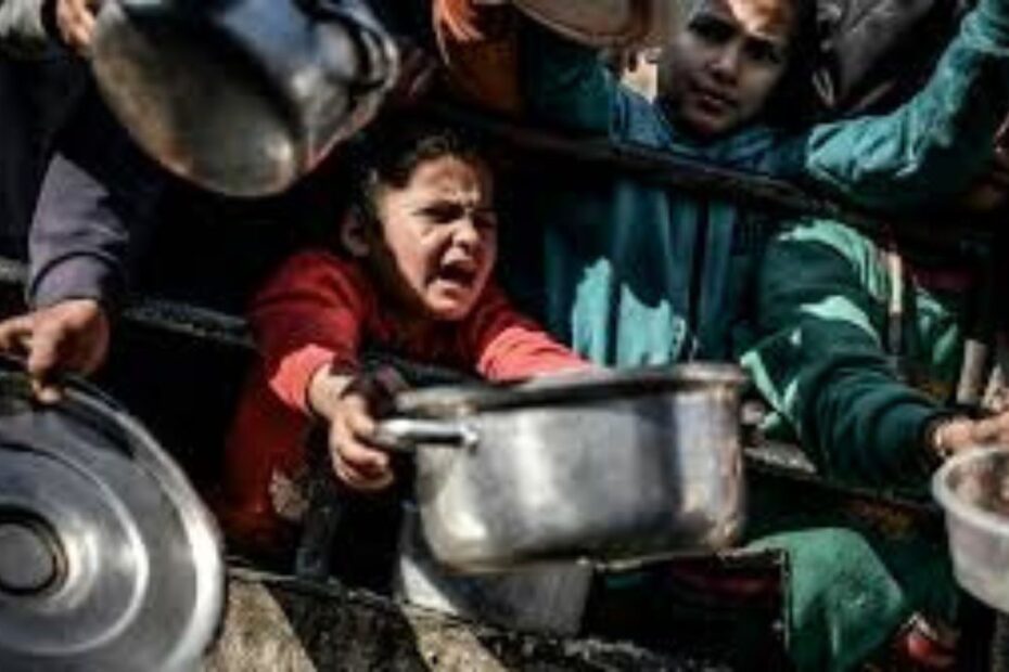 Gaza esercito israeliano cibo
