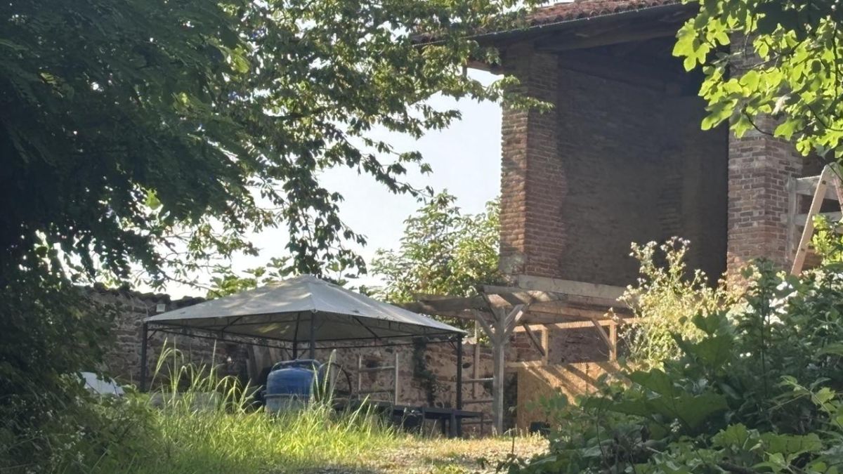 Due fratellini vivevano con i genitori nel bosco: la scoperta shock della polizia Due fratellini vivevano con i genitori nel bosco: la scoperta shock della polizia