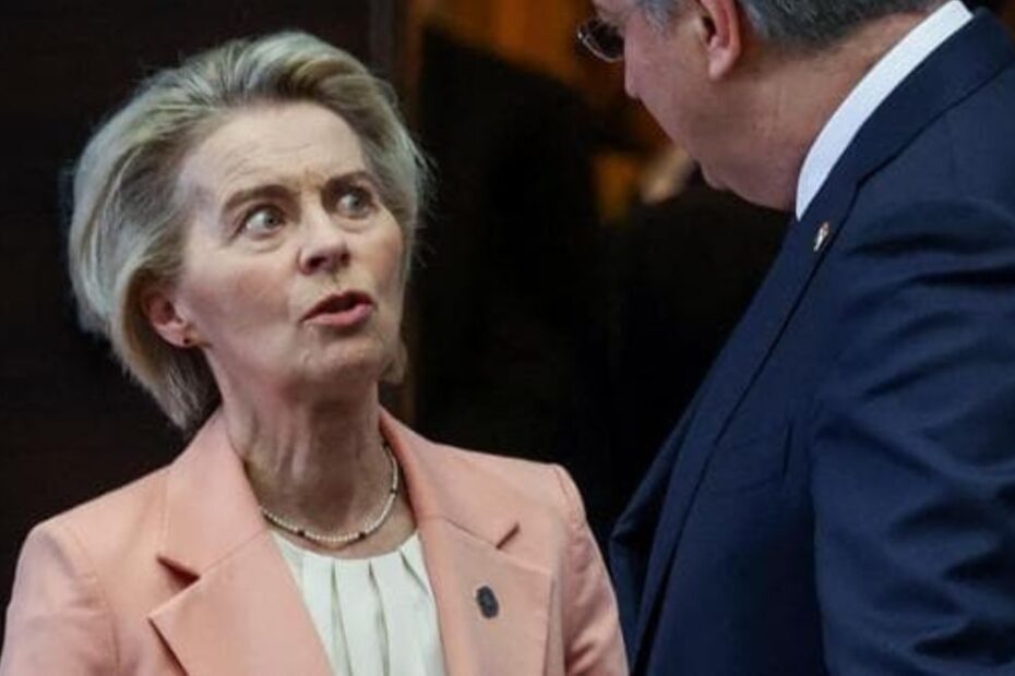 Socialisti von der Leyen voti