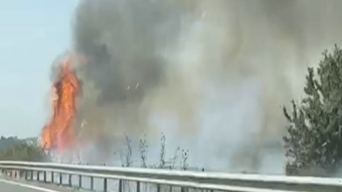 Incendio in strada, fiamme altissime e densa colonna di fumo: pericolo per le auto Incendio in strada, fiamme altissime e densa colonna di fumo: pericolo per le auto