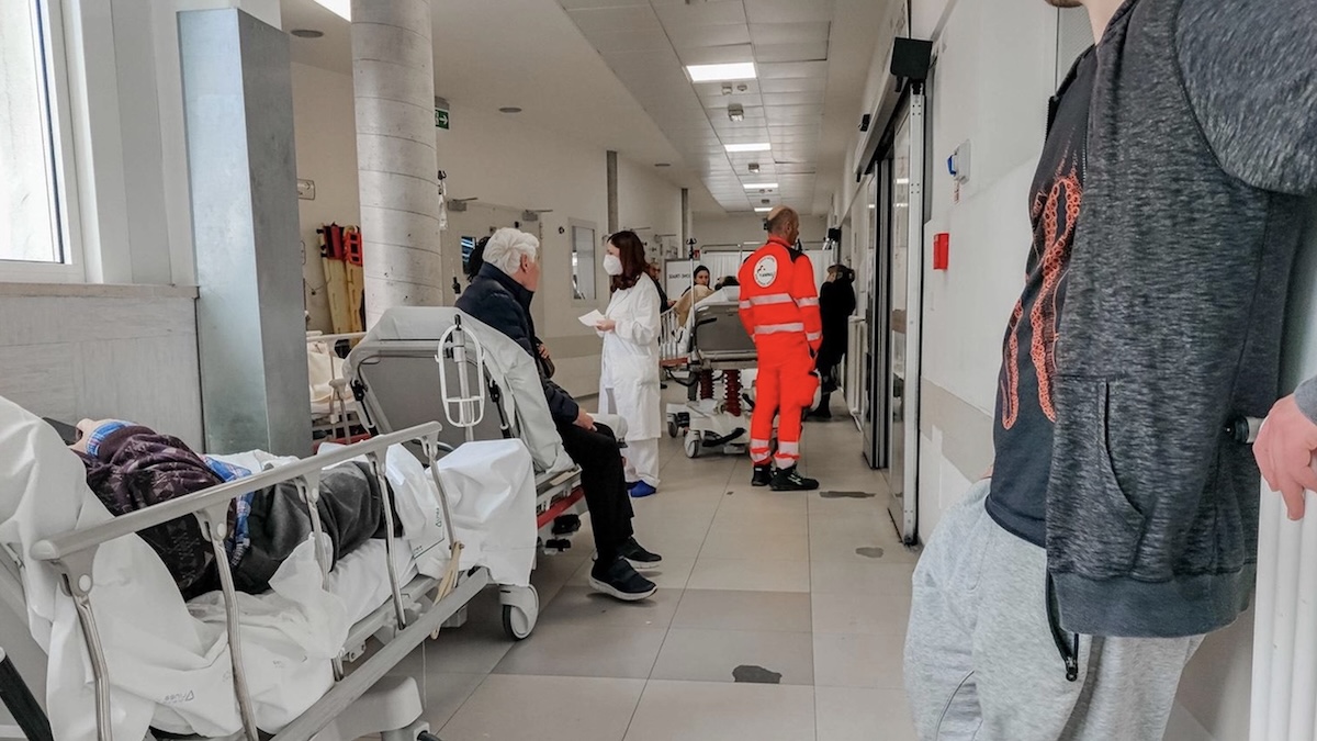 Non solo virus e caldo, in arrivo l’incubo peggiore: attenzione, soprattutto i bambini Non solo virus e caldo, in arrivo l’incubo peggiore: attenzione, soprattutto i bambini