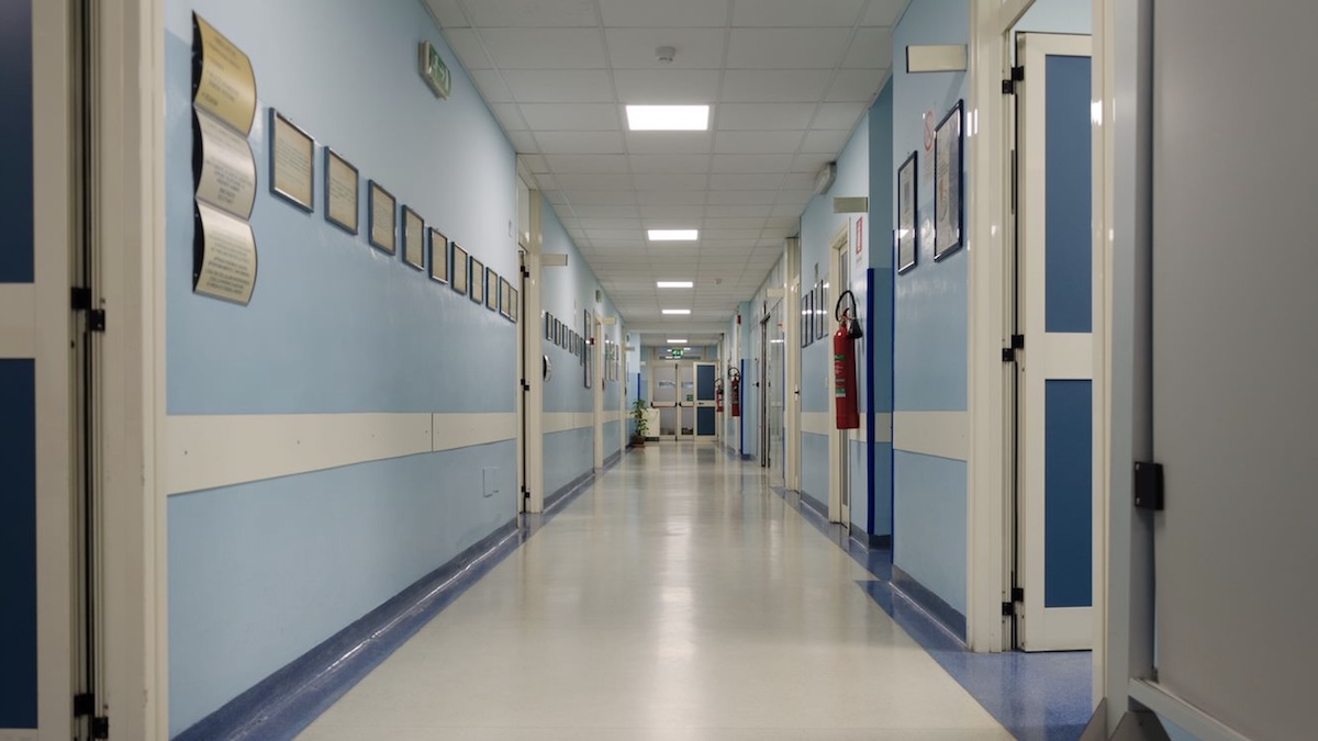 “L’ha mangiato, poi il malore”. Bimba muore così a 12 anni, altri 7 in ospedale: è allarme “L’ha mangiato, poi il malore”. Bimba muore così a 12 anni, altri 7 in ospedale: è allarme