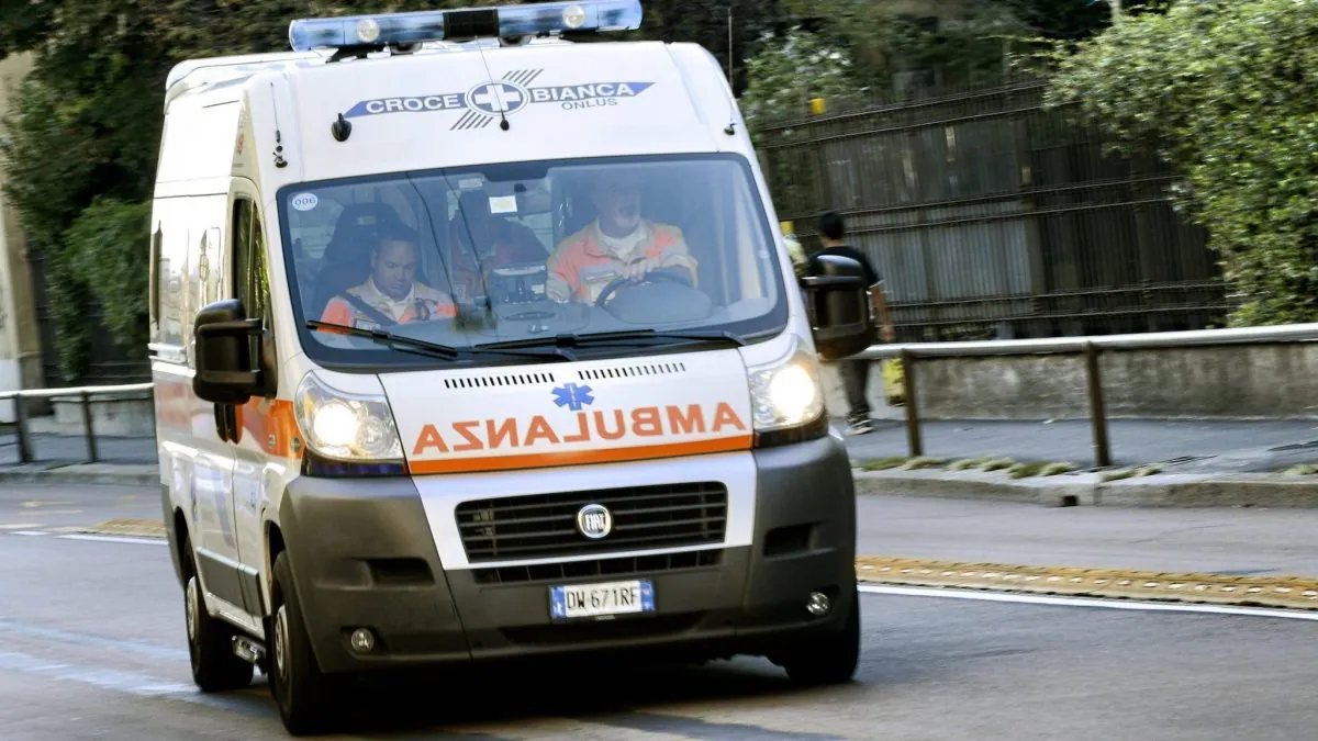 bimba mette mano nel tritacarne