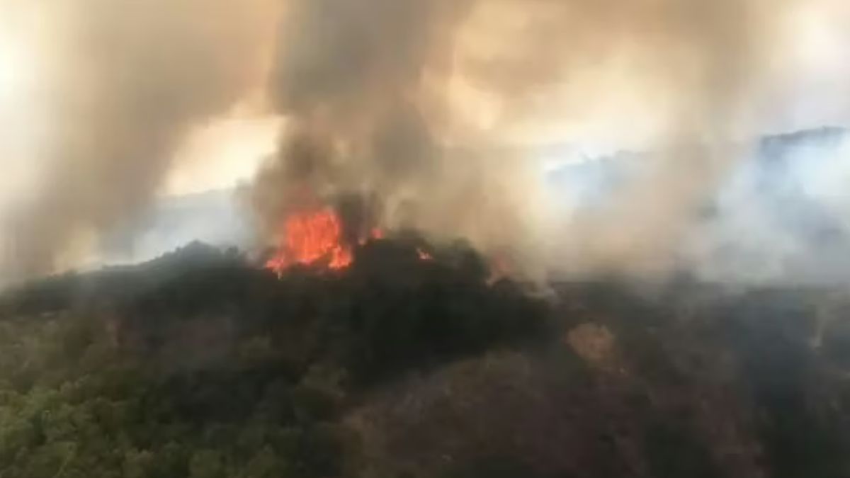 Fuoco e fiamme in Italia: 14 incendi in una sola giornata, la situazione è drammatica Fuoco e fiamme in Italia: 14 incendi in una sola giornata, la situazione è drammatica