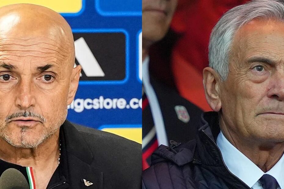 gravina spalletti