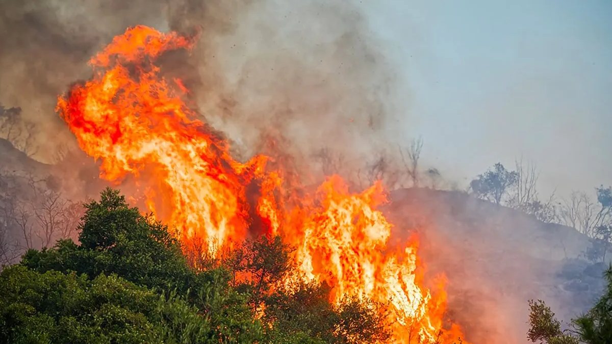 L’Italia brucia, 14 incendi in poche ore. Inferno di fuoco, tutti proprio lì L’Italia brucia, 14 incendi in poche ore. Inferno di fuoco, tutti proprio lì