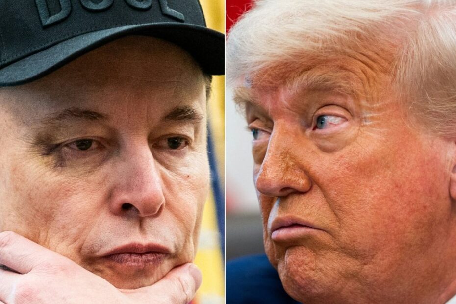 trump musk