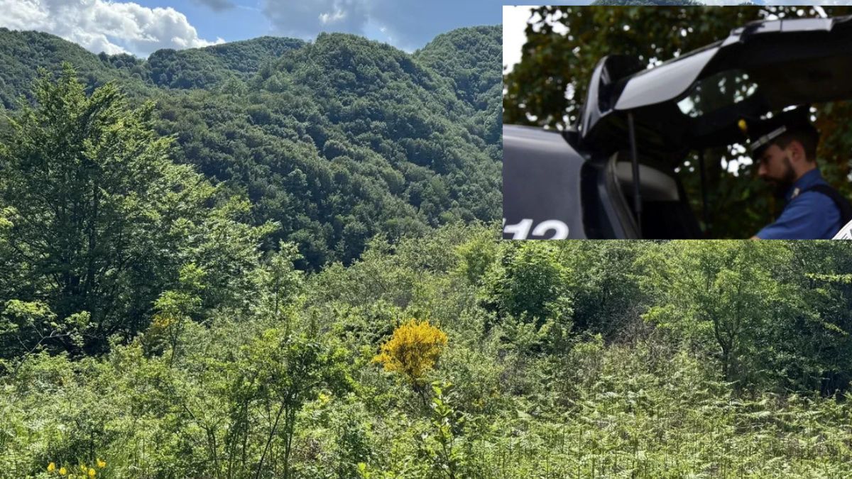 “C’è il cadavere di una donna”. L’orribile scoperta in Italia: l’hanno ritrovata così, spaventoso