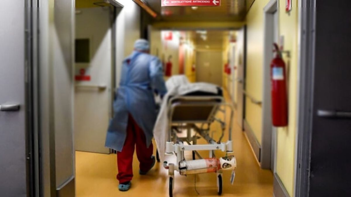 virus west nile i morti salgono a sette donazioni di sangue limitate in 31 province