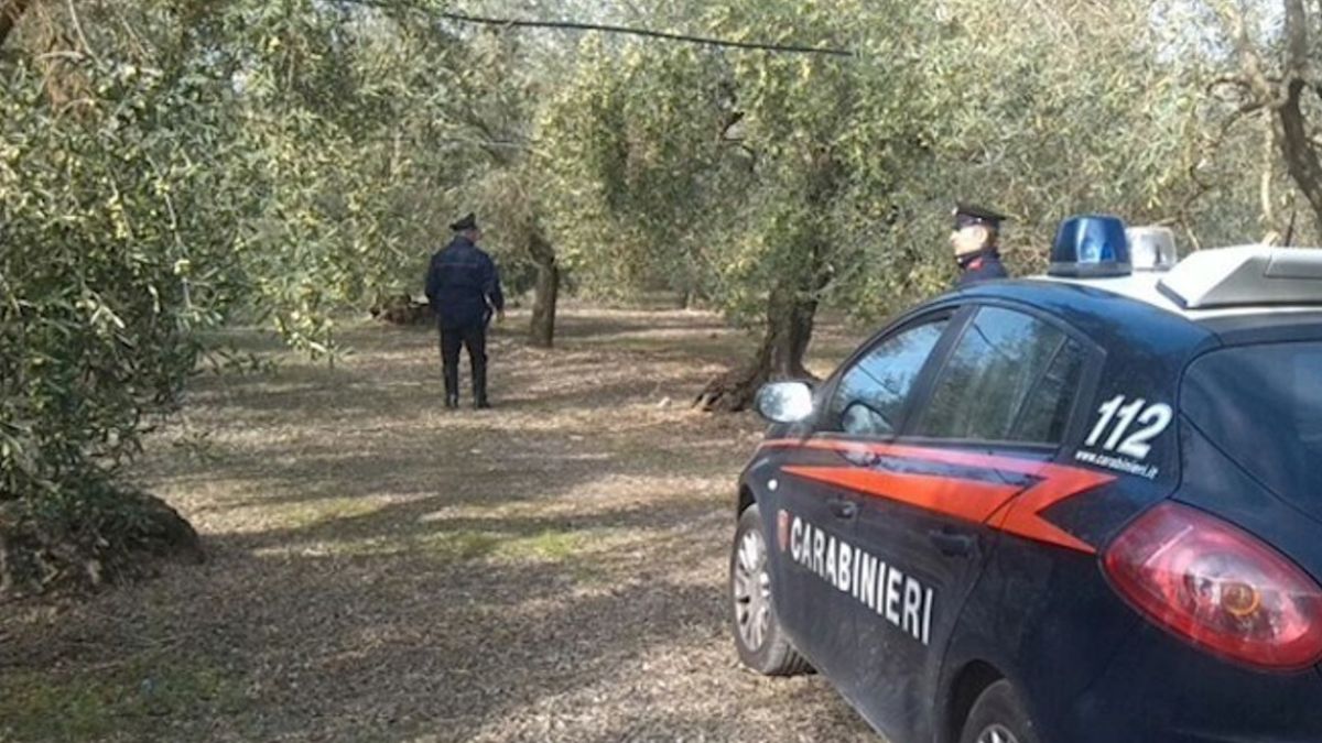 “Immerso in una vasca di letame”. Orrore in Italia, il corpo ritrovato così: aveva solo 37 anni