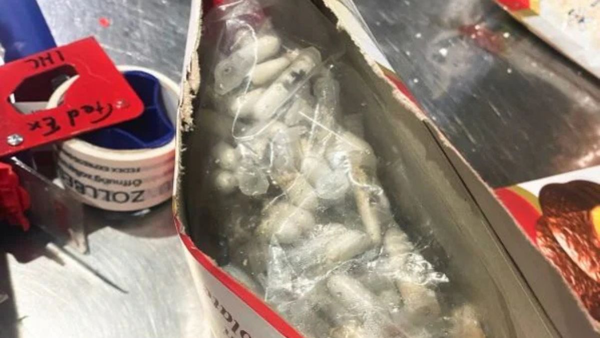 “C’è qualcosa che si muove”. Scoperta horror nel pacchetto dei dolciumi: erano migliaia, orrore! “C’è qualcosa che si muove”. Scoperta horror nel pacchetto dei dolciumi: erano migliaia, orrore!