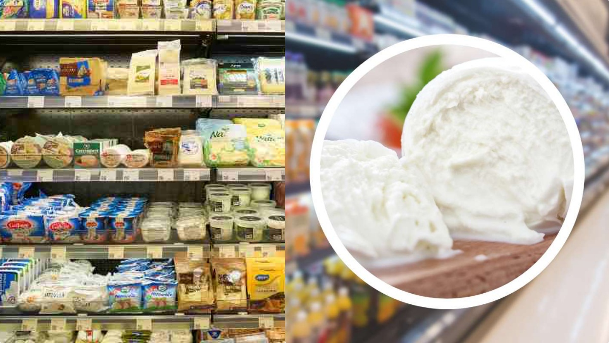 richiamata dai supermercati italiani la mozzarella pi249 famosa cosa ci hanno trovato dentro
