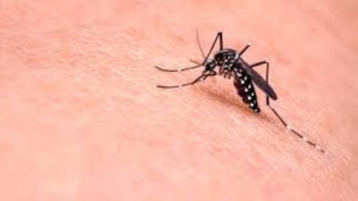 West Nile virus Italia