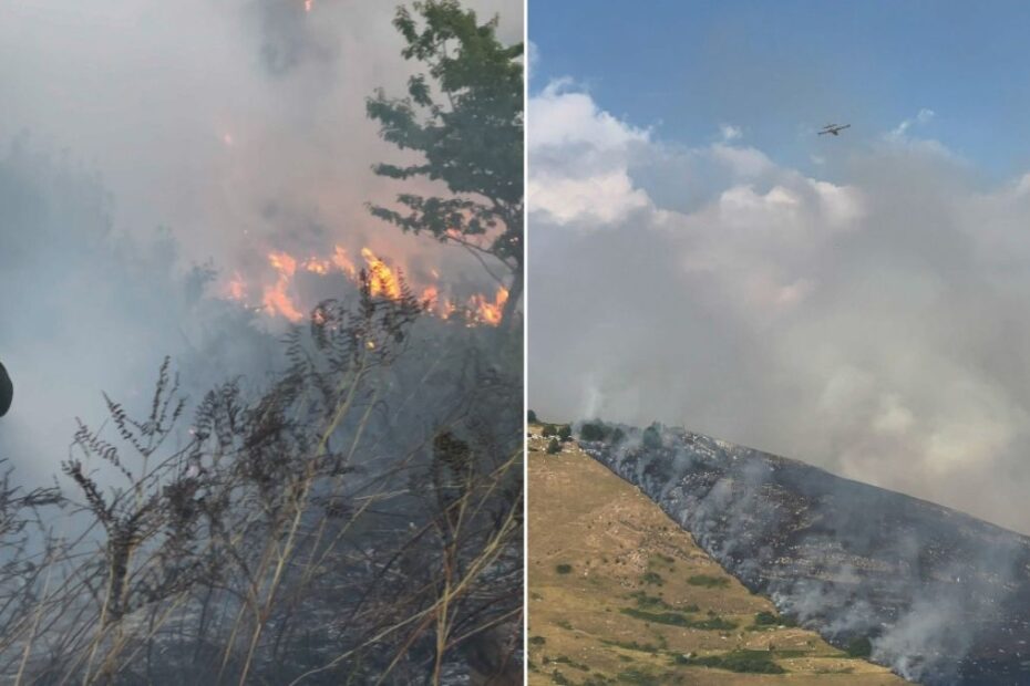 incendi alto Molise Onofrio