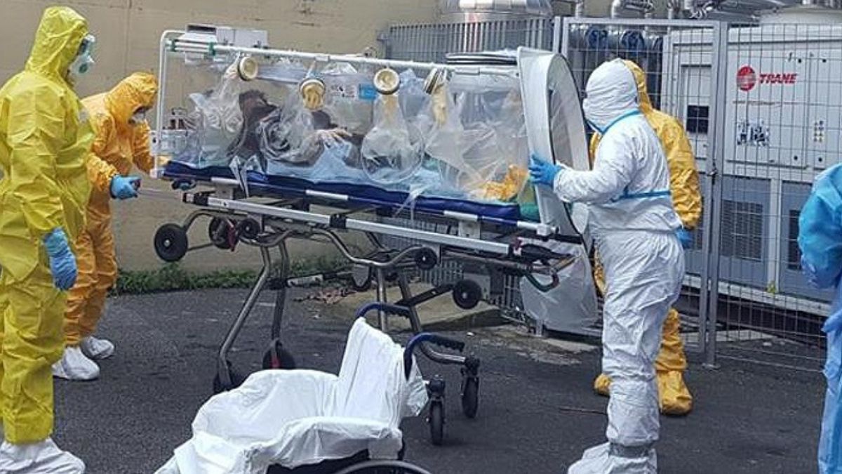 West Nile, virus arrivato in tutta Italia: “Circola nella zanzara Culex e negli uccelli” West Nile, virus arrivato in tutta Italia: “Circola nella zanzara Culex e negli uccelli”
