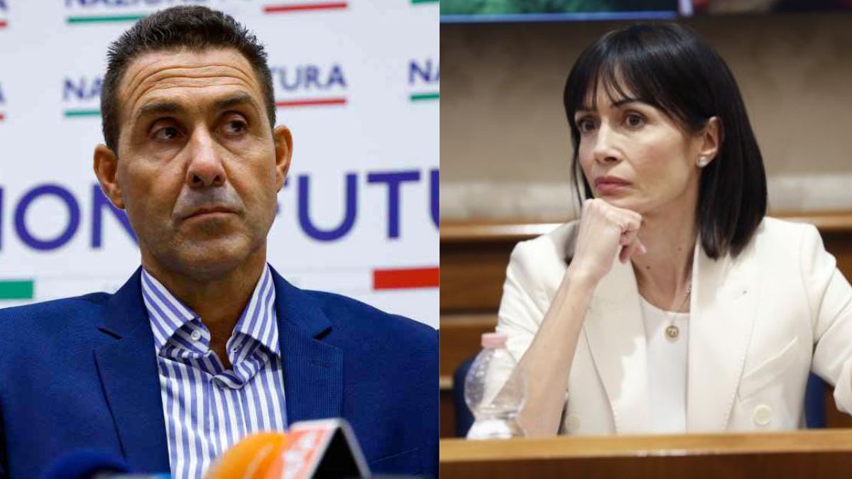 Carfagna Vannacci dovrebbe dimettersi
