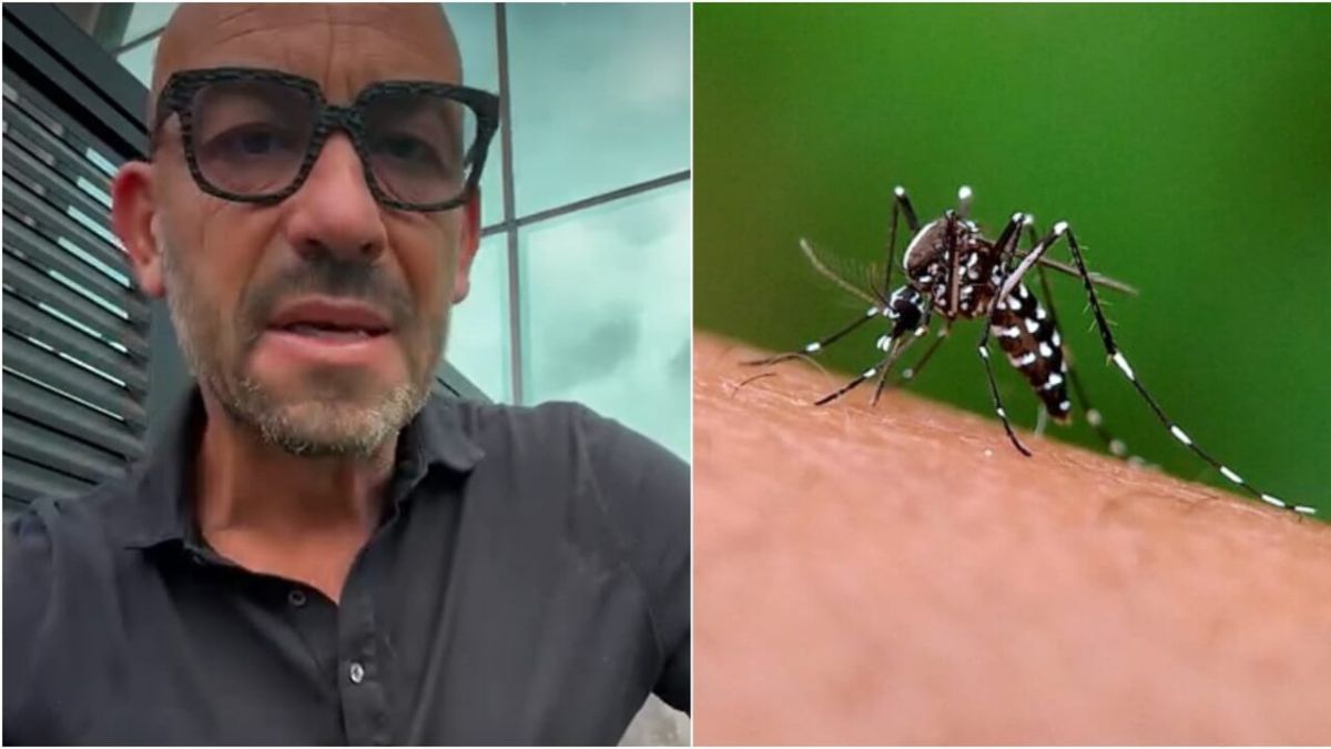 West Nile Bassetti zanzare