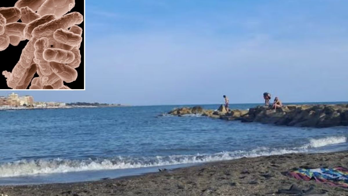 non entrate in acqua escherichia coli allarme in italia scattano i divieti ecco dove