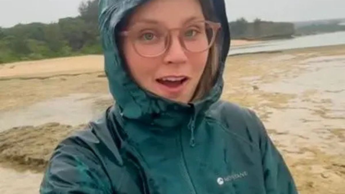 Tiktoker raccoglie una conchiglia al mare, ma dopo scopre di aver rischiato la vita: ecco perché Tiktoker raccoglie una conchiglia al mare, ma dopo scopre di aver rischiato la vita: ecco perché