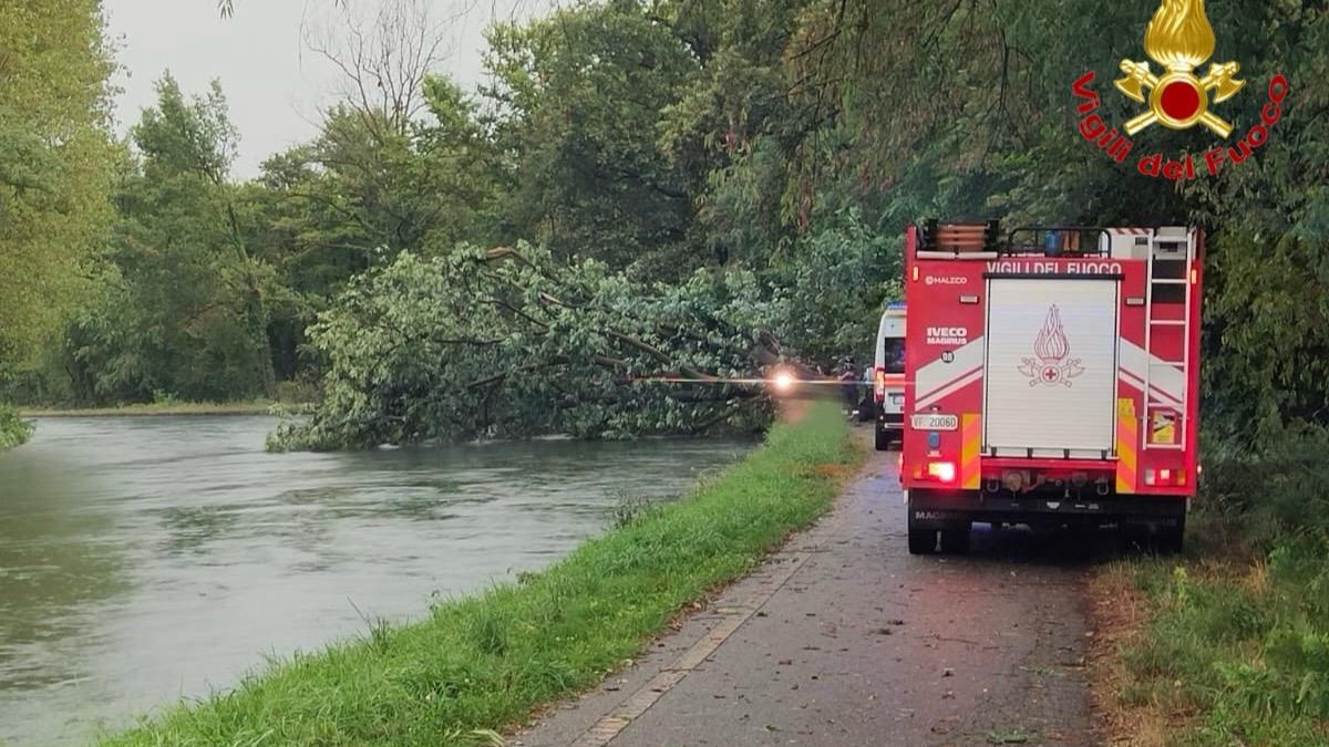 Albero cade e schiaccia una donna: maltempo in Italia, il video è spaventoso Albero cade e schiaccia una donna: maltempo in Italia, il video è spaventoso