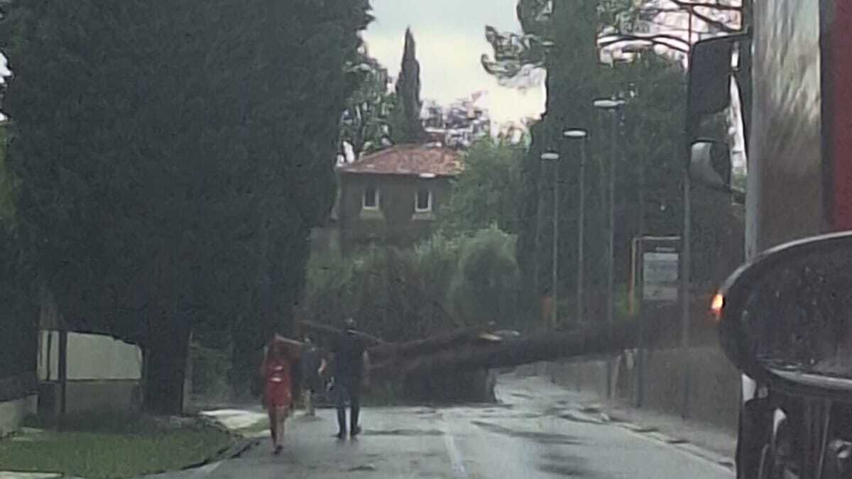 italia 232 caos maltempo tromba d8217aria e alberi sulle auto il fiume esonda anche i treni bloccati