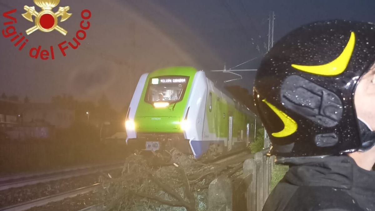 Albero sui binari in Italia, treni fermi nella regione: cosa succede Albero sui binari in Italia, treni fermi nella regione: cosa succede