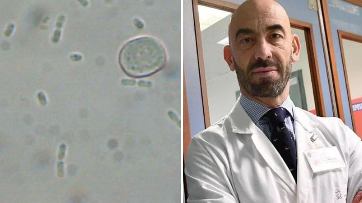 “Può uccidere”. Batterio mangia carne nelle acque del mare, l’allarme di Bassetti: cos’è e cosa si rischia “Può uccidere”. Batterio mangia carne nelle acque del mare, l’allarme di Bassetti: cos’è e cosa si rischia