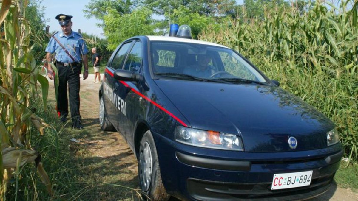 “Lì, in mezzo al campo”. Non si presenta al lavoro: giorni dopo la macabra scoperta. Ritrovamento choc “Lì, in mezzo al campo”. Non si presenta al lavoro: giorni dopo la macabra scoperta. Ritrovamento choc