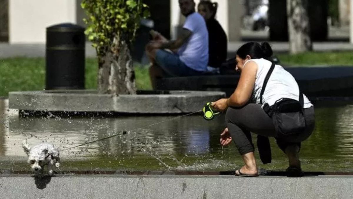 Caldo estremo, blackout e vittime: bimbo di due anni morto, Firenze in tilt Caldo estremo, blackout e vittime: bimbo di due anni morto, Firenze in tilt