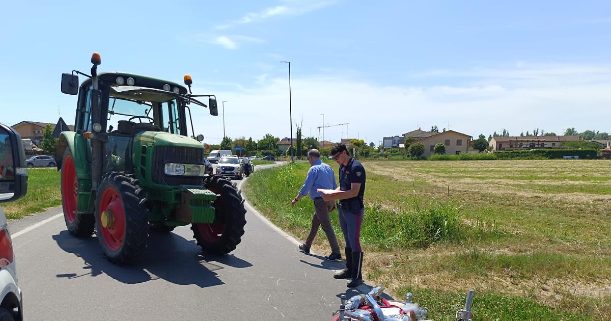 Aquila trattore investito ucciso
