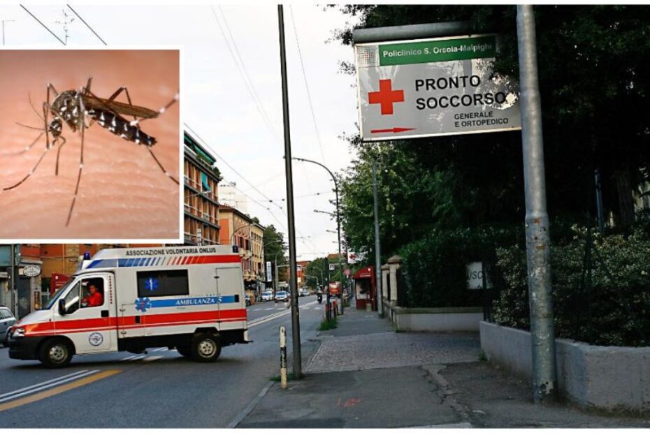 dengue italia