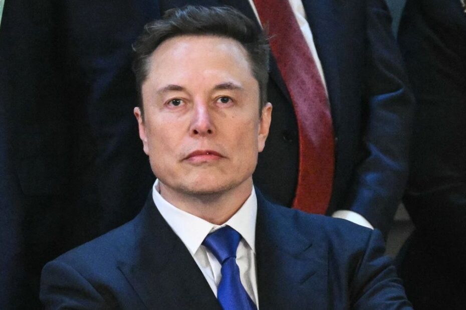 elon musk partito