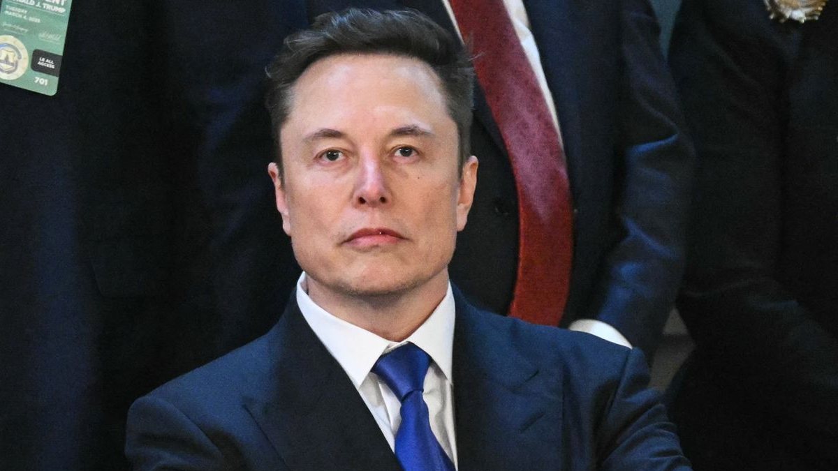 elon musk partito
