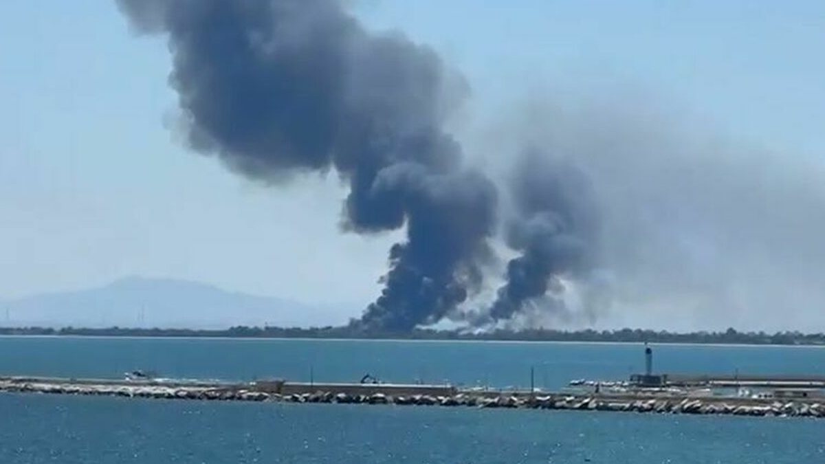 Inferno in Italia, fiamme altissime invadano la spiaggia: video shock Inferno in Italia, fiamme altissime invadano la spiaggia: video shock