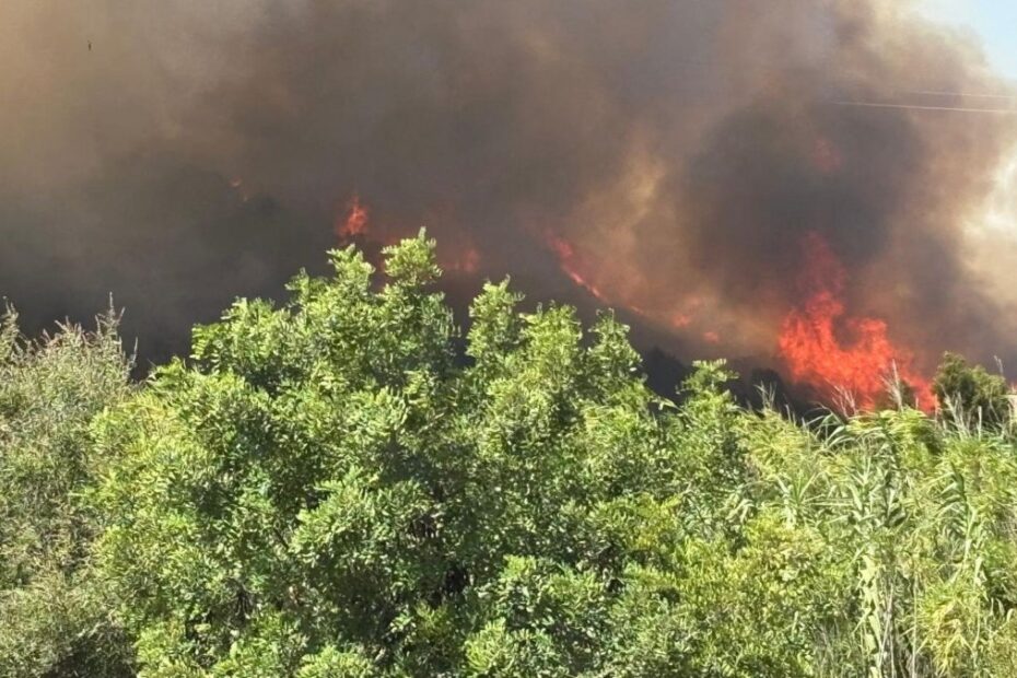 incendio sardegna oggi
