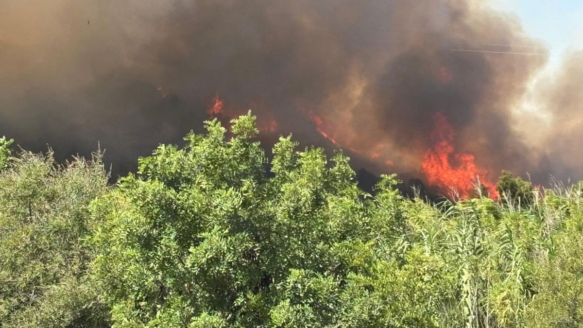 incendio sardegna oggi