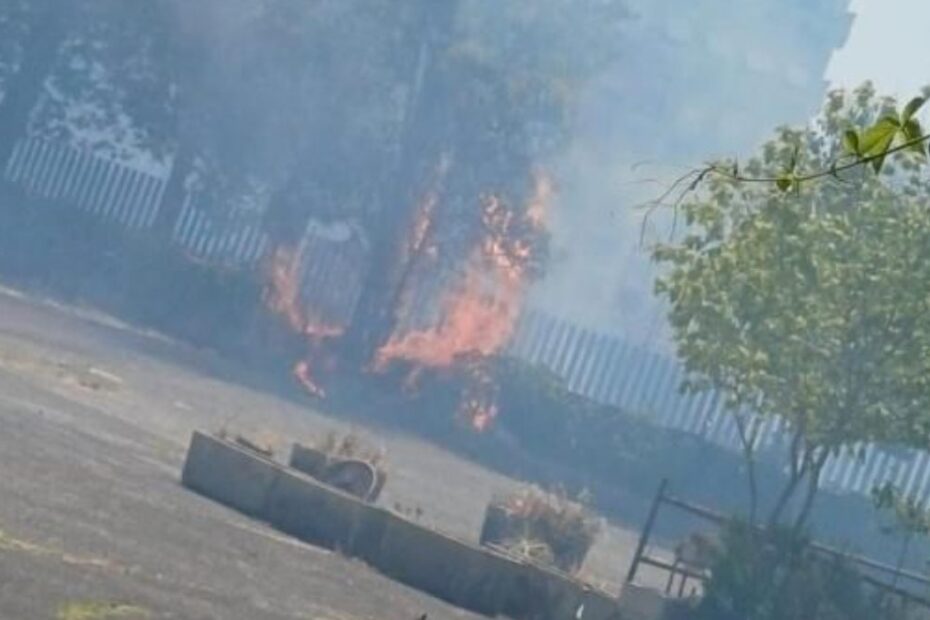 incendio serpentara