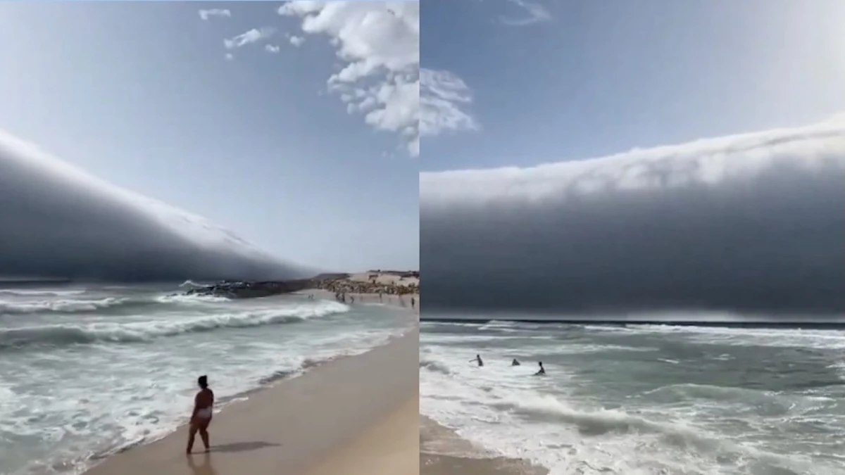 “Ma che roba è”. Bagnanti scioccati in spiaggia, mai visto prima “Ma che roba è”. Bagnanti scioccati in spiaggia, mai visto prima