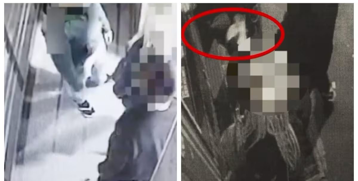 “Vieni da me”. Appuntamento al buio finisce male: quello che gli fanno è da incubo “Vieni da me”. Appuntamento al buio finisce male: quello che gli fanno è da incubo