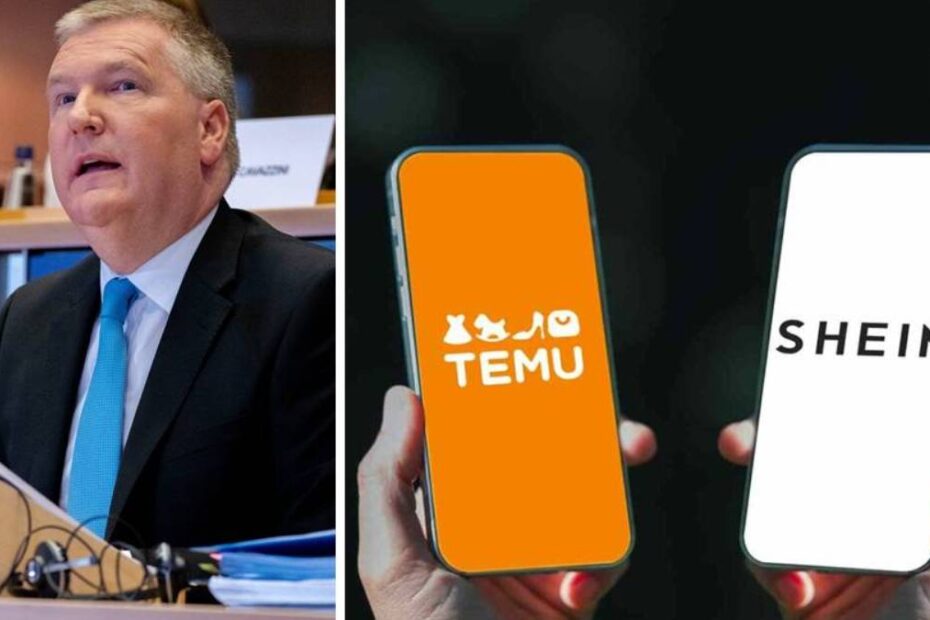 indagine prodotti Schein Temu