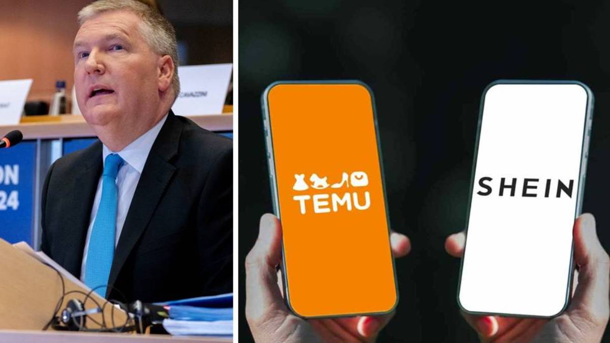 indagine prodotti Schein Temu
