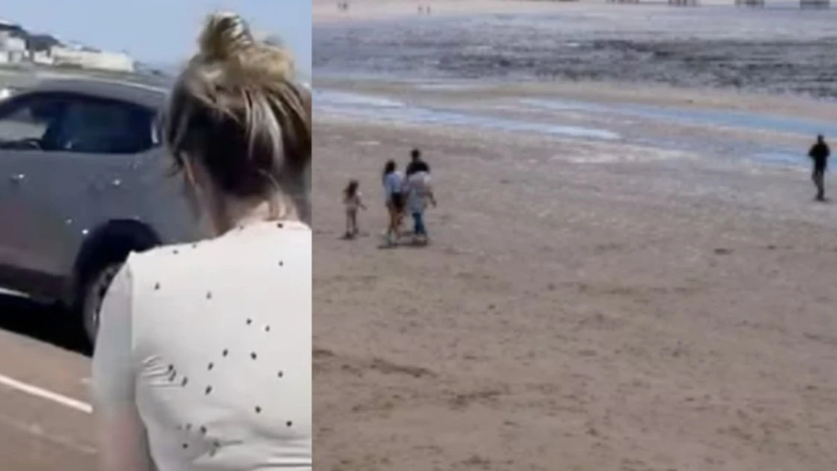 invasione in spiaggia fuggi fuggi tra i bagnanti siamo interamente ricoperti