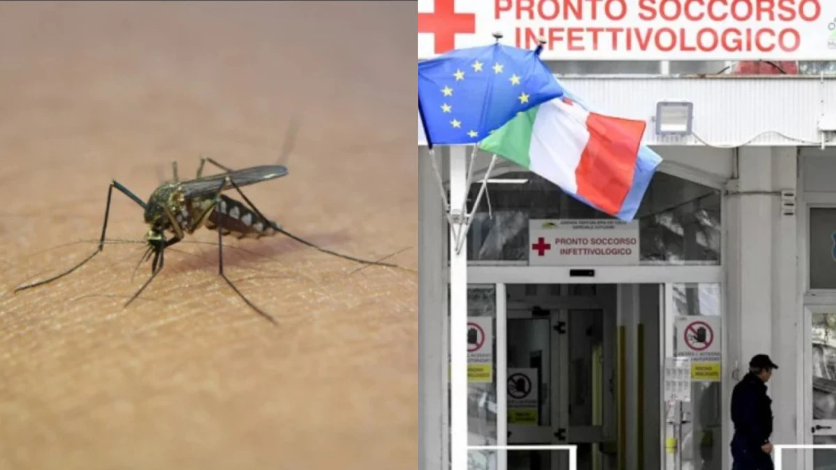“Saliti a 4 in rianimazione” West Nile in Italia, scoperto un focolaio del virus in Italia “Saliti a 4 in rianimazione” West Nile in Italia, scoperto un focolaio del virus in Italia