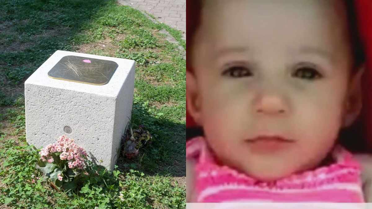 diana pifferi orribile gesto sulla targa in memoria della piccola un atto ignobile