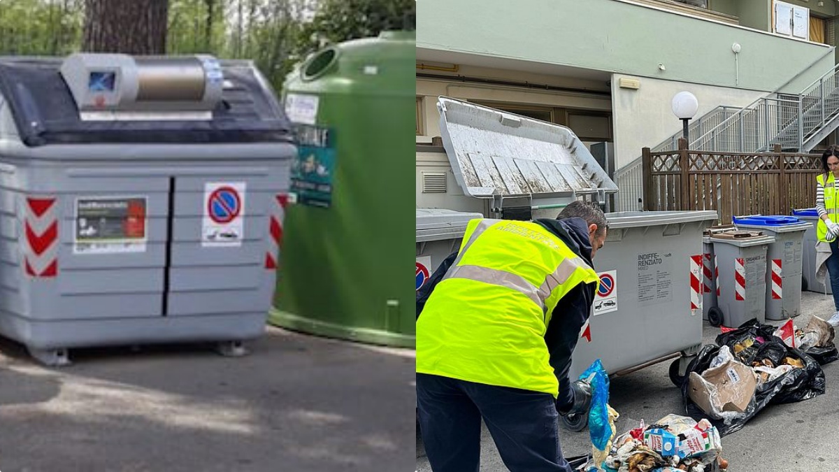 Getta gattini appena nati nella spazzatura, scoperta così: “Non siamo riusciti a salvarli”, straziante