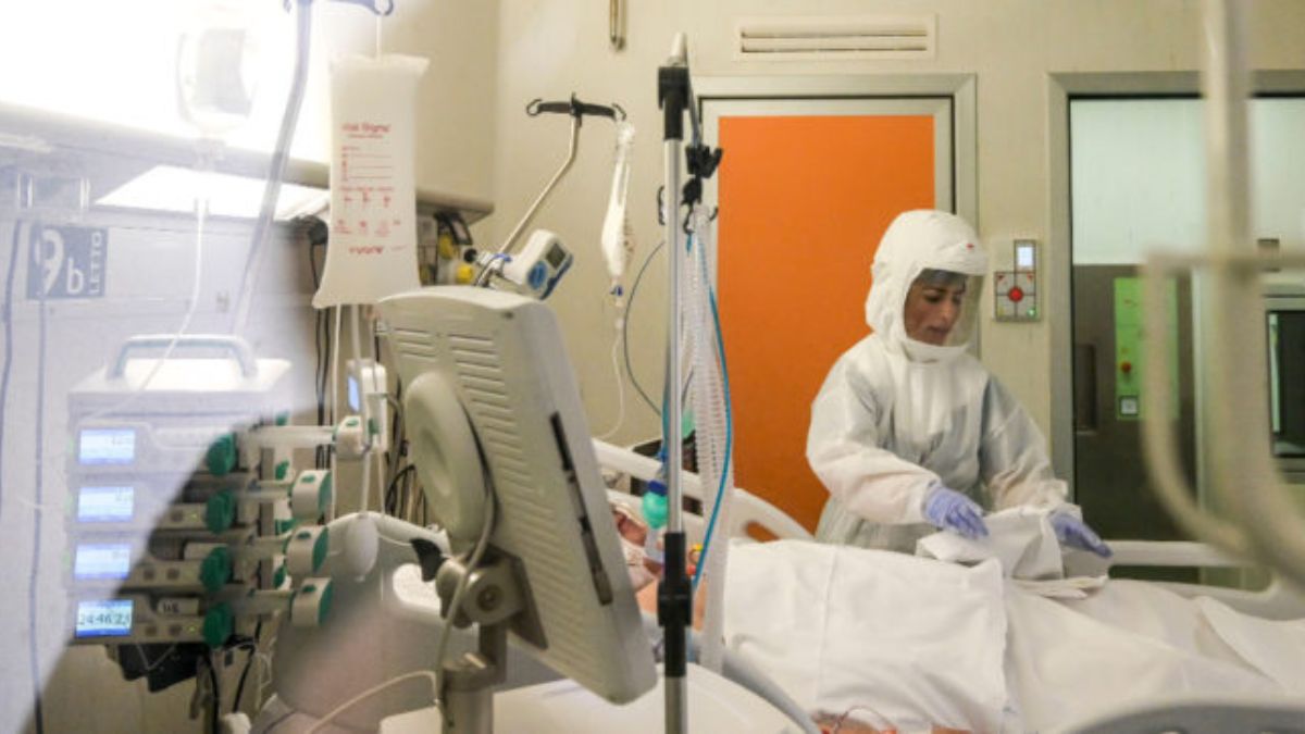 “Chiamate il medico se avete questi sintomi”. West Nile, l’allarme degli esperti: cosa fare