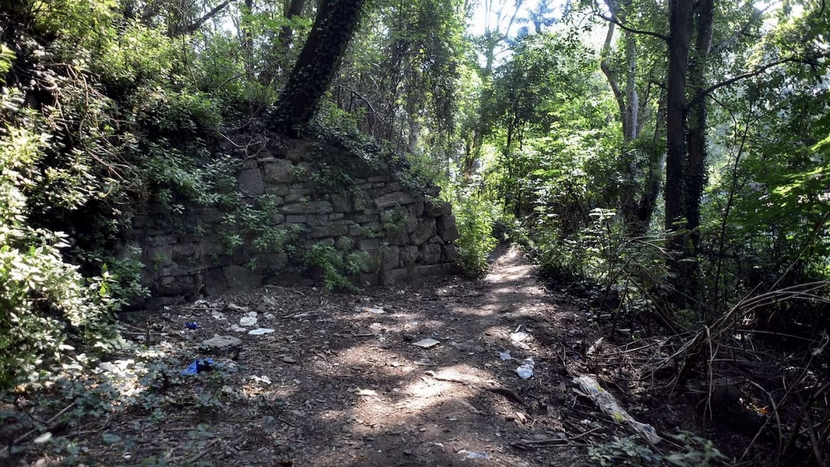 Italia. Trovati resti umani nel ‘bosco degli orrori’: “Purtroppo è lui”, era scomparso Italia. Trovati resti umani nel ‘bosco degli orrori’: “Purtroppo è lui”, era scomparso
